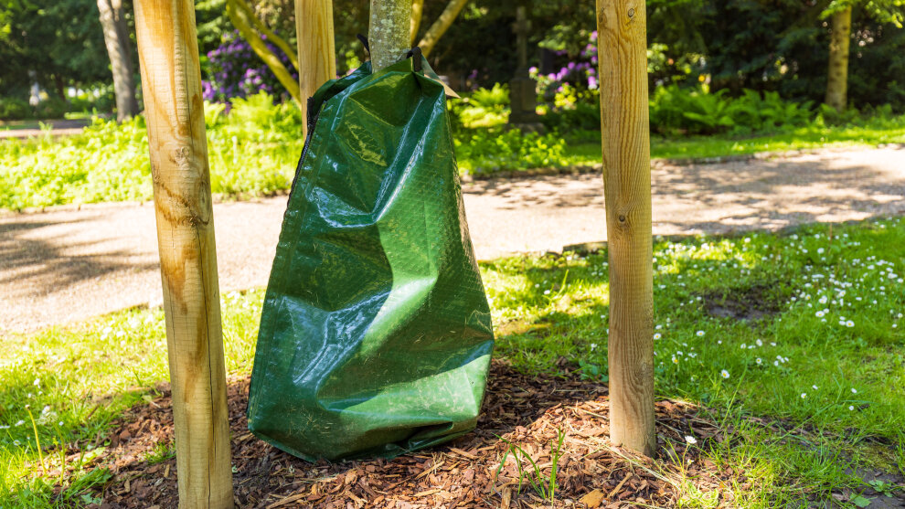 Bewässerungssack an einem Baum in einem Park