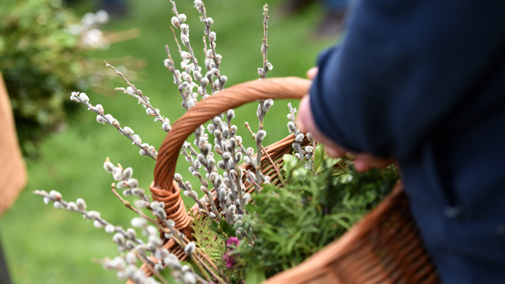 Palmbuschen und Weidenkätzchen in einem Korb