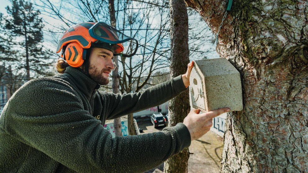 In Nähe der Baustelle, aber außerhalb dieser wird eine Nisthilfe für brütende Vogelarten angebracht, damit die Tiere ungestörte Bereiche finden und aufsuchen können.