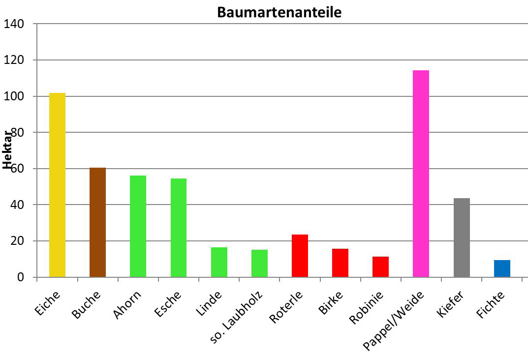 Baumartenanteile