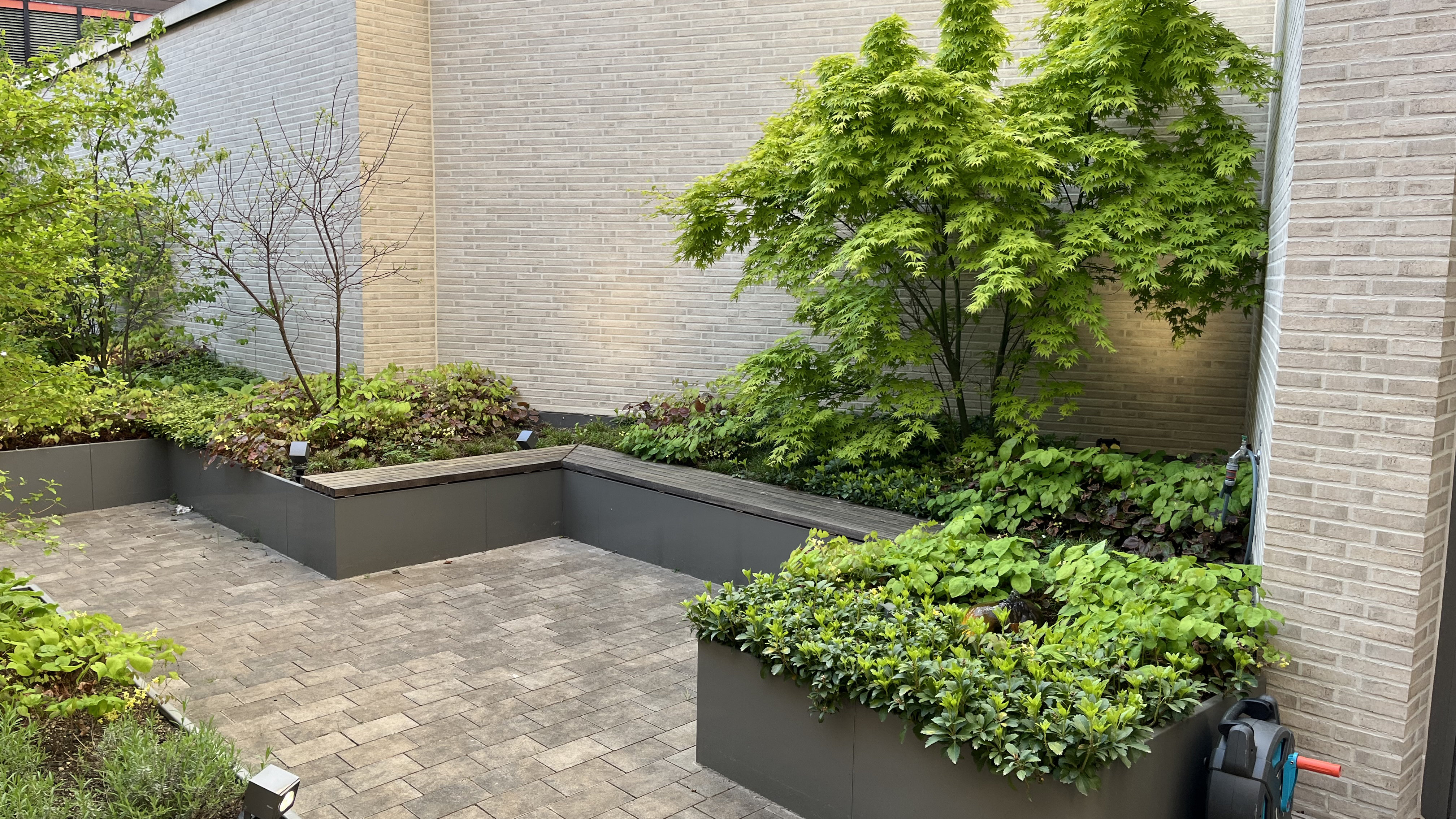 Attraktiv bepflanztes Dach mit Sträuchern