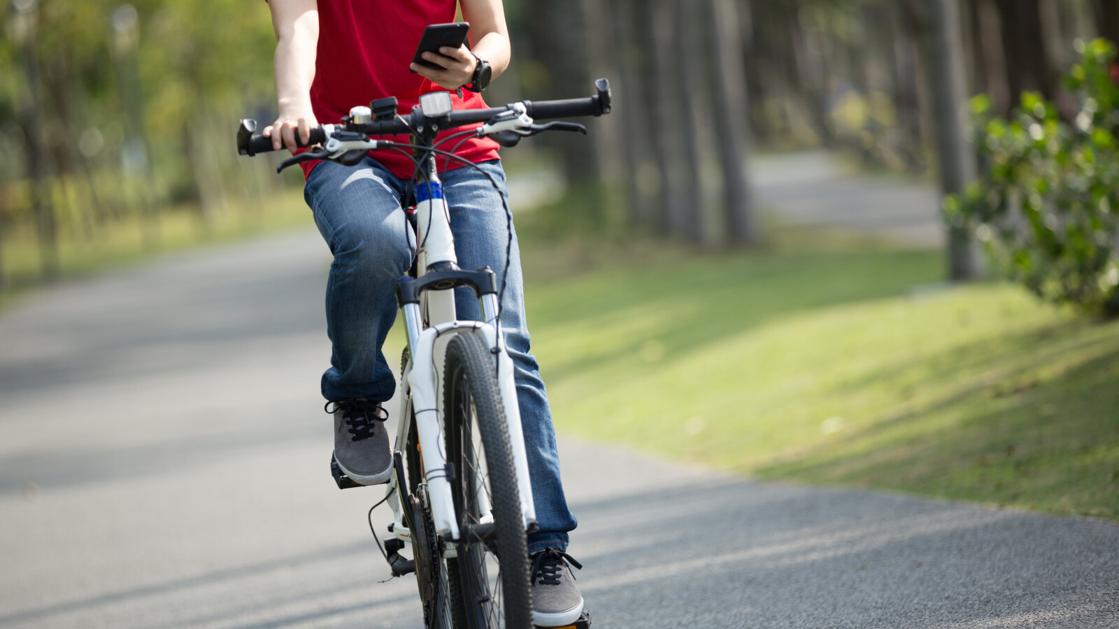 Ein Radfahrer schaut während des Fahrens durch einen Park auf sein Handy., &copy Li Zhongfei – stock.adobe.com
